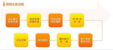 融資性擔(dān)保公司的業(yè)務(wù)流程與核心運(yùn)作機(jī)制