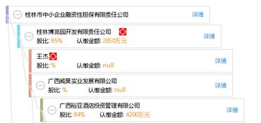 桂林市中小企業(yè)融資性擔(dān)保有限責(zé)任公司 破解企業(yè)融資難題的專業(yè)橋梁